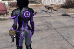Fallout4 2017-01-13 16-23-10-464