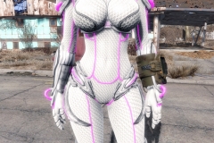 Fallout4 2017-01-13 16-25-38-847