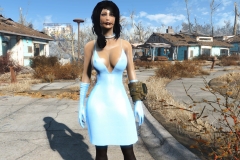 Fallout4 2016-12-30 09-33-54-981
