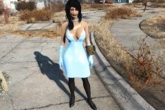 Fallout4 2016-12-30 09-33-59-110