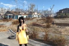 Fallout4 2016-12-30 09-37-52-441
