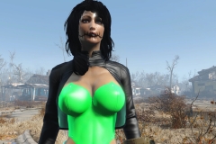 Fallout4 2016-12-30 09-41-16-926