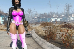 Fallout4 2016-12-30 09-42-53-650
