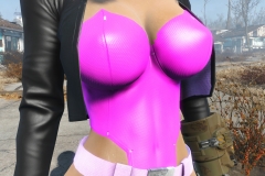 Fallout4 2016-12-30 09-43-03-961