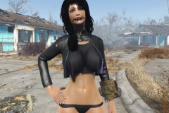 Fallout4 2016-12-30 09-44-22-636