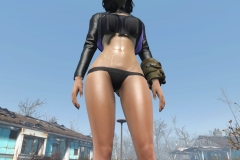 Fallout4 2016-12-30 09-44-26-262