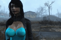 Fallout4 2016-12-30 09-47-35-576