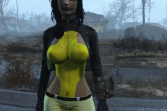 Fallout4 2016-12-30 09-49-12-669