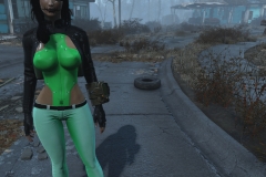 Fallout4 2016-12-30 09-49-41-476