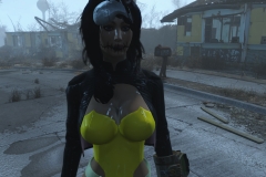 Fallout4 2016-12-30 10-07-05-772
