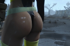 Fallout4 2016-12-30 10-07-29-520