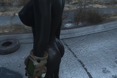 Fallout4 2016-12-30 10-09-01-609