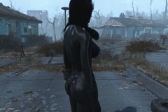 Fallout4 2016-12-30 10-09-31-990