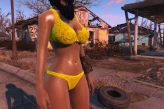 Fallout4 2016-12-27 14-13-29-646