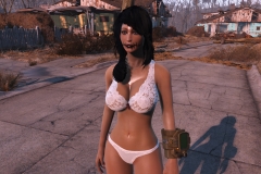 Fallout4 2016-12-27 14-14-25-870