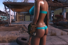 Fallout4 2016-12-27 14-14-55-390
