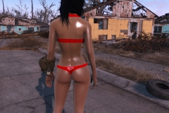 Fallout4 2016-12-27 14-15-28-352