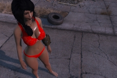 Fallout4 2016-12-27 14-15-39-239