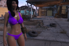 Fallout4 2016-12-27 14-16-00-193