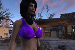 Fallout4 2016-12-27 14-16-10-118