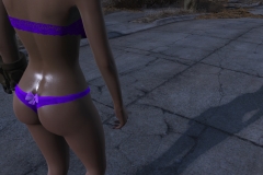 Fallout4 2016-12-27 14-16-33-030
