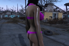 Fallout4 2016-12-27 14-16-55-225