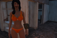 Fallout4 2016-12-27 14-17-29-847