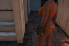 Fallout4 2016-12-27 14-17-57-388
