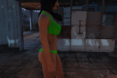Fallout4 2016-12-27 14-18-26-712