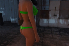 Fallout4 2016-12-27 14-18-32-918