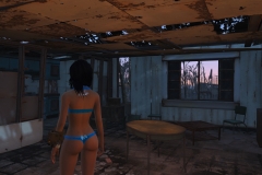 Fallout4 2016-12-27 14-18-47-695
