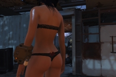 Fallout4 2016-12-27 14-19-30-622