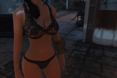 Fallout4 2016-12-27 14-19-49-727