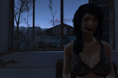 Fallout4 2016-12-27 14-20-37-896
