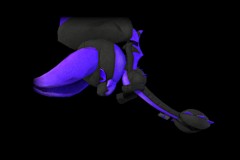11_DarkPurple