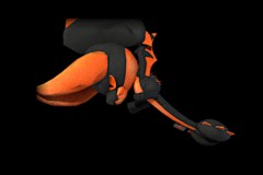 11_Orange