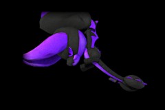 11_Purple