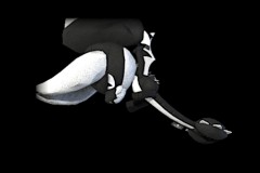 11_White
