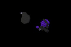 12_Purple