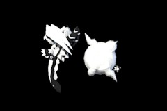 2_White