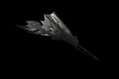 22_White