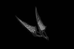 23_White
