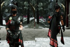 Ninja