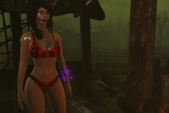Fallout4 2017-01-24 19-30-13-322