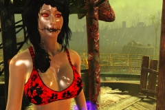 Fallout4 2017-01-24 19-30-41-593
