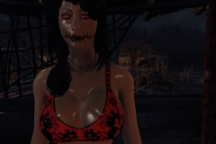 Fallout4 2017-01-24 19-33-23-416