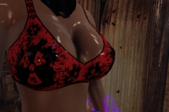 Fallout4 2017-01-24 19-34-20-767