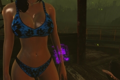 Fallout4 2017-01-24 20-35-05-769