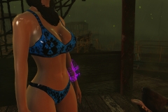 Fallout4 2017-01-24 20-35-13-095