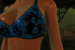 Fallout4 2017-01-24 20-35-31-449